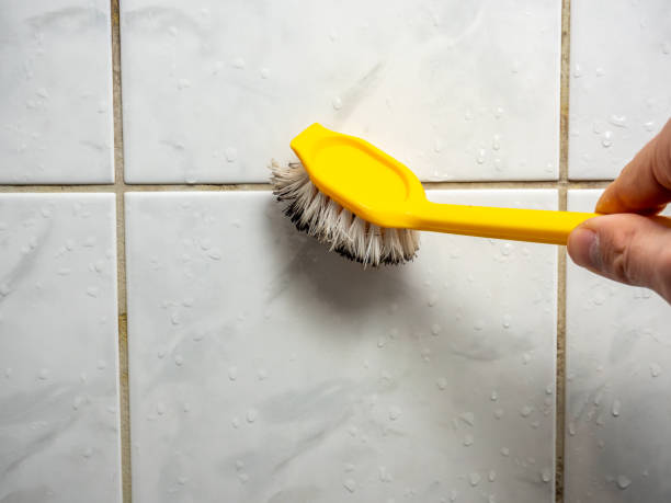Best Mold Removal Company Near Me  in Norton Shores, MI