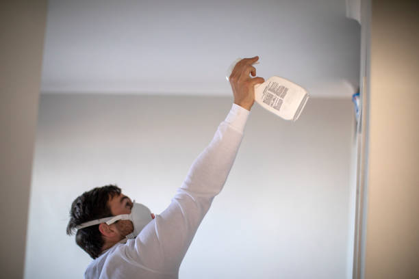Best Affordable Mold Removal  in Norton Shores, MI