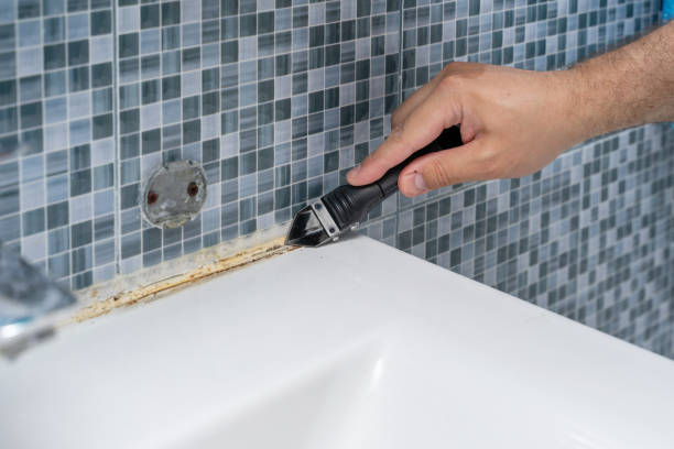 Best Mold Cleaning Services  in Norton Shores, MI